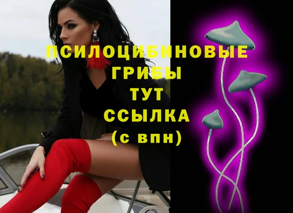 бошки Алзамай