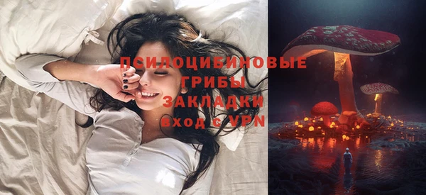 бошки Алзамай